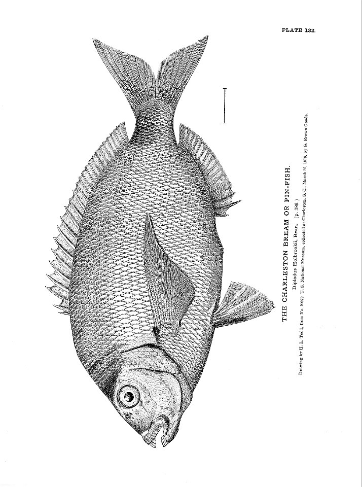 n299_w1150