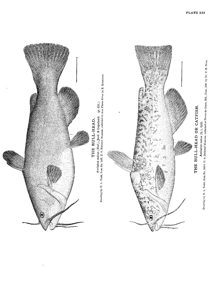 n521_w1150