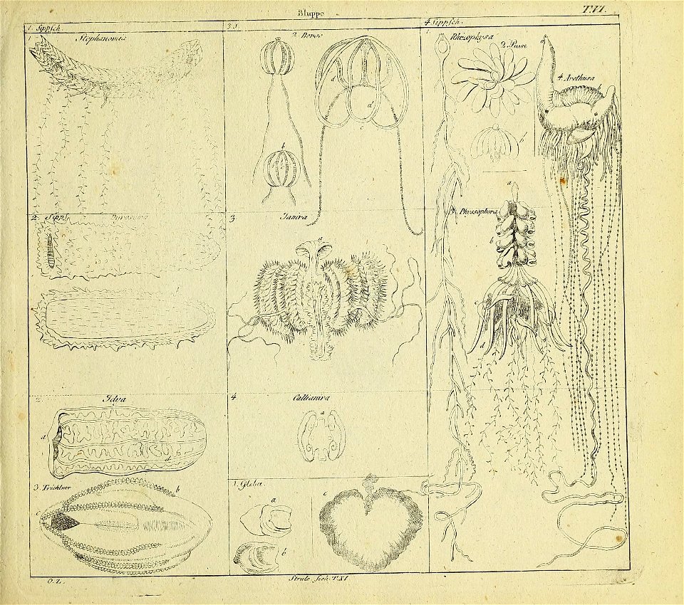 n16_w1150