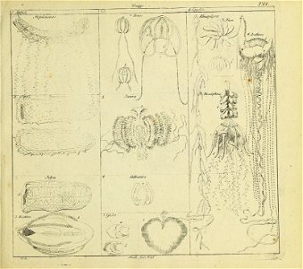 n16_w1150