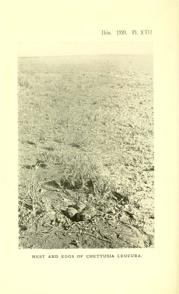 n837_w1150