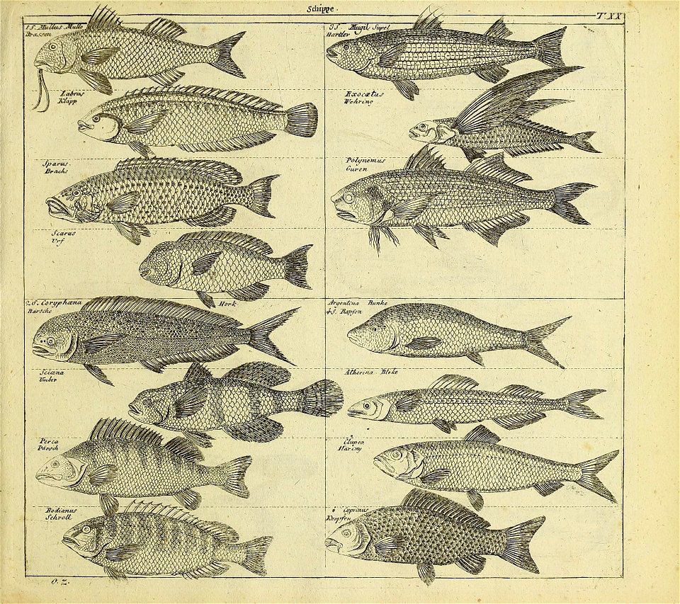 n44_w1150