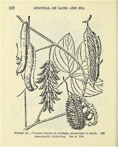 n133_w1150