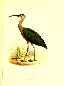 n370_w1150