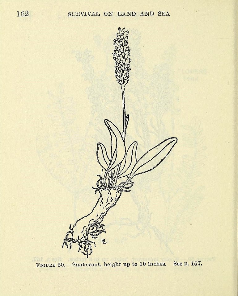 n167_w1150