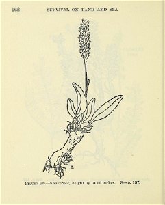 n167_w1150