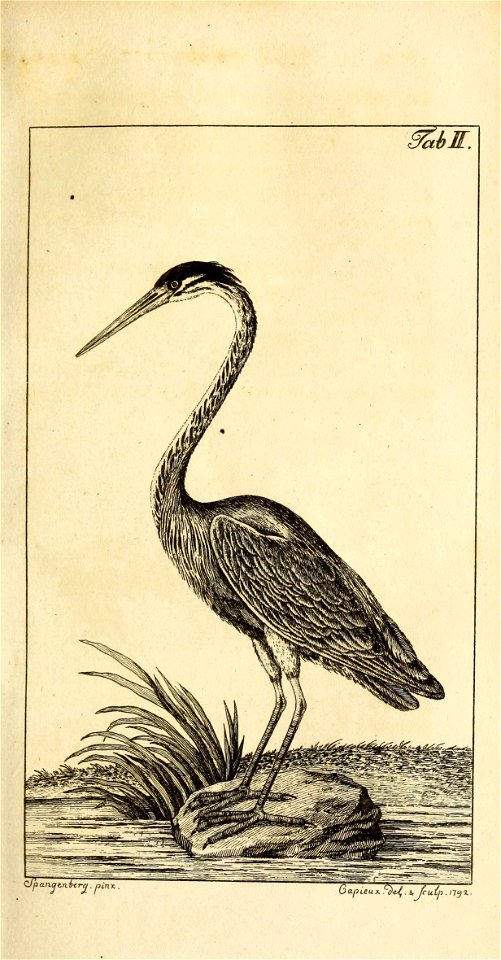 n48_w1150
