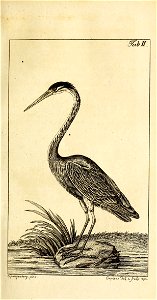 n48_w1150