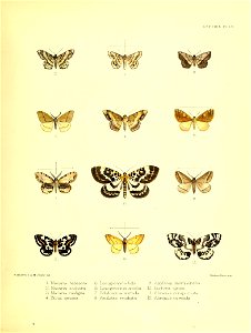 n128_w1150