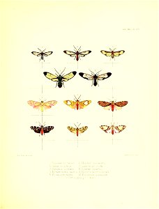n114_w1150