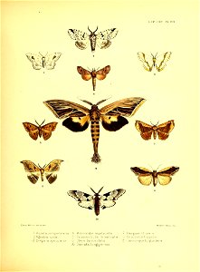 n122_w1150