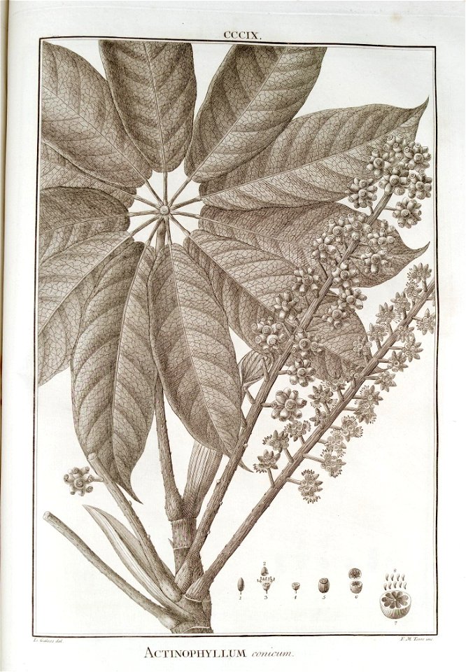 n157_w1150