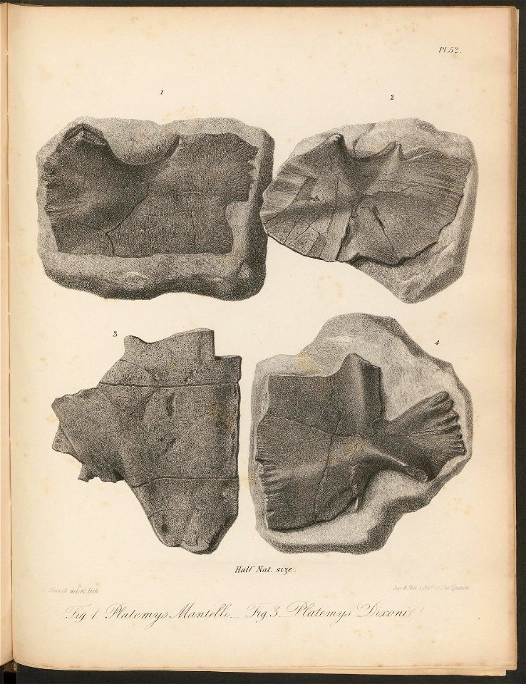 n373_w1150