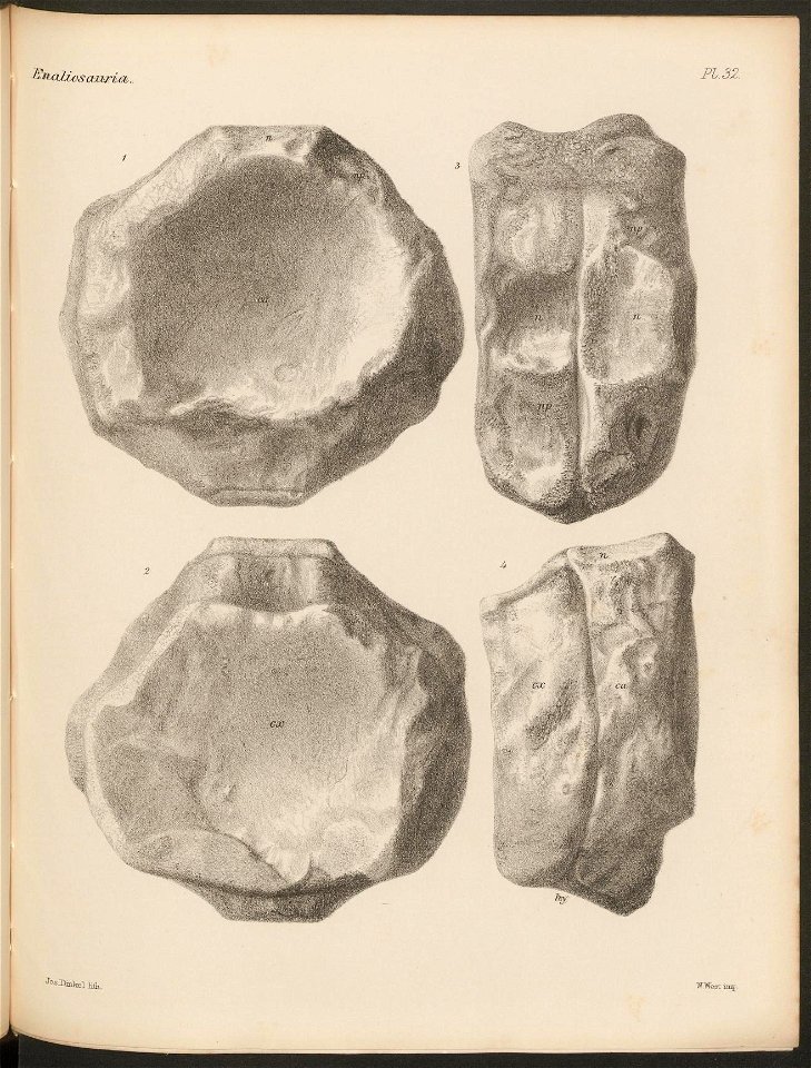 n196_w1150