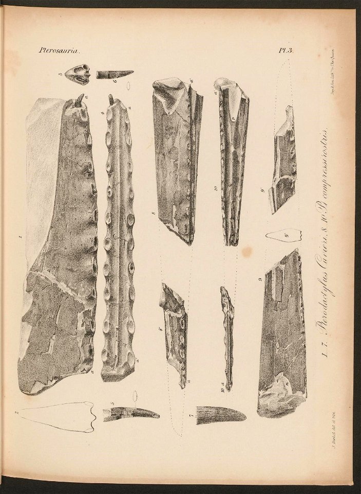 n20_w1150