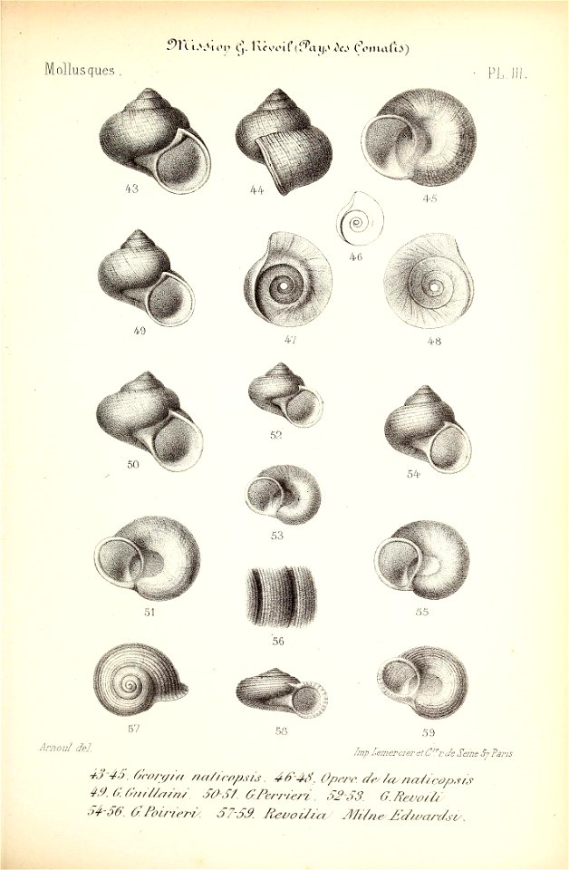 n206_w1150