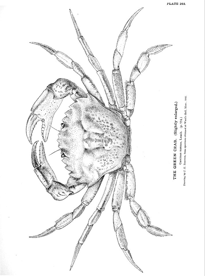 n587_w1150