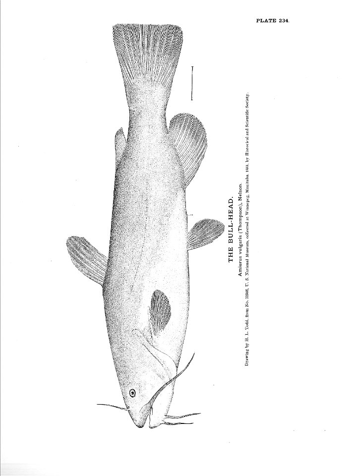 n523_w1150