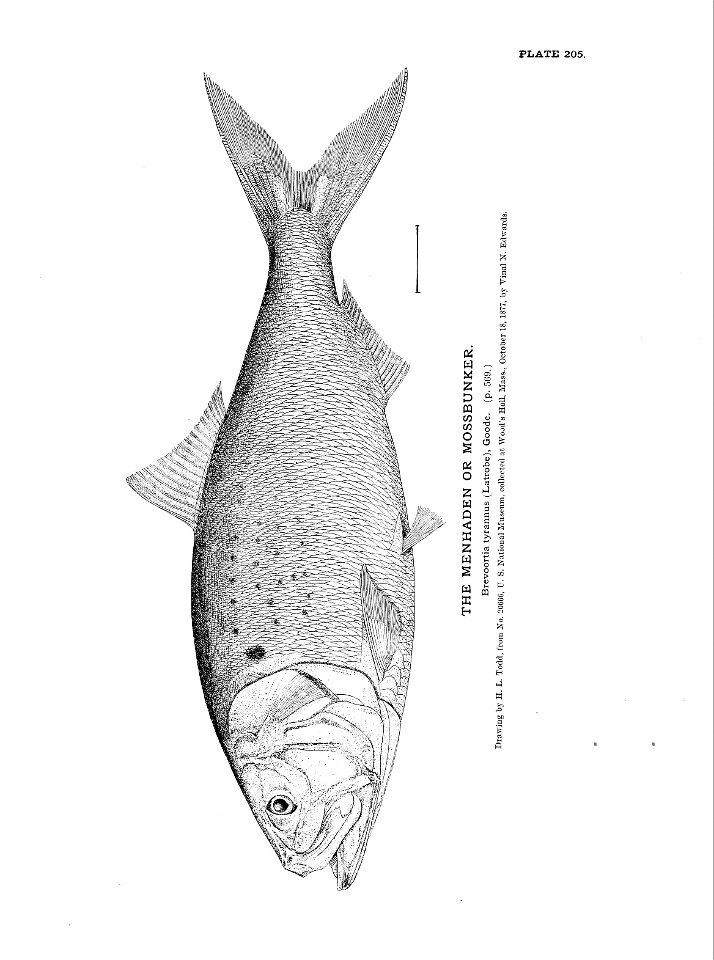 n457_w1150