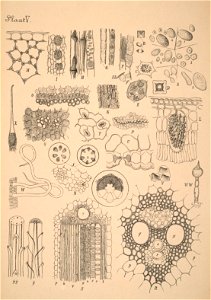 n13_w1150