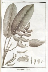 n153_w1150
