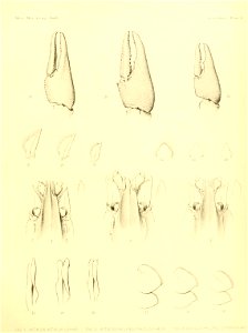 n134_w1150