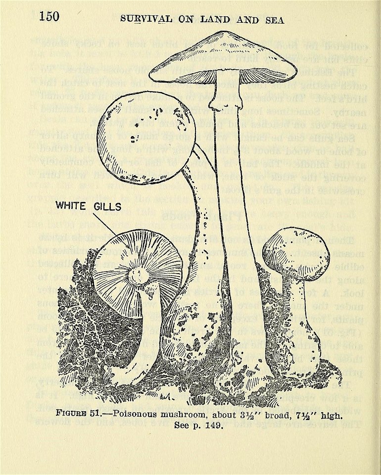 n155_w1150