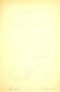n652_w1150