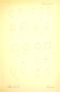 n470_w1150