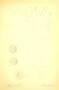 n248_w1150
