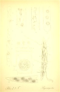 n130_w1150
