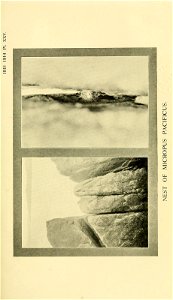 n680_w1150
