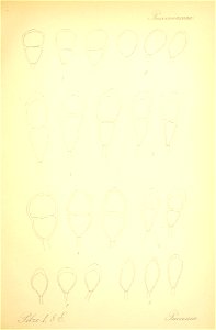 n564_w1150
