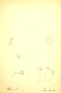 n122_w1150