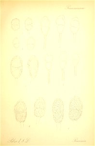 n560_w1150
