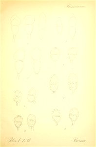 n456_w1150