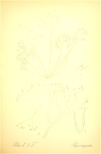 n228_w1150