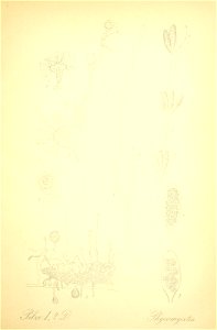 n116_w1150