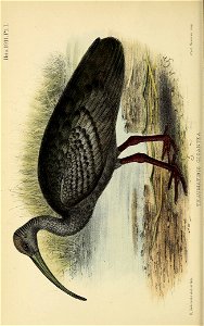 n59_w1150