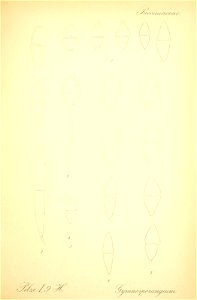 n638_w1150