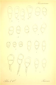 n554_w1150