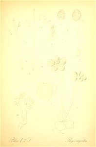 n222_w1150
