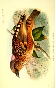 n591_w1150