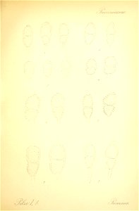 n540_w1150