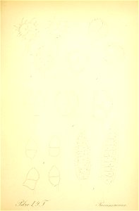 n630_w1150