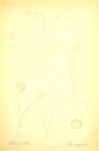 n210_w1150