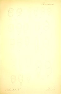 n534_w1150