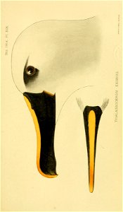 n586_w1150