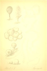 n82_w1150