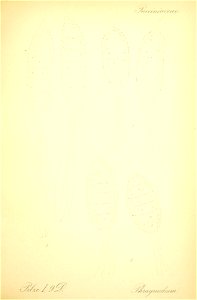 n622_w1150